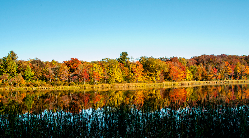 Illustration for article titled 48 Photos Of Autumn Around The World